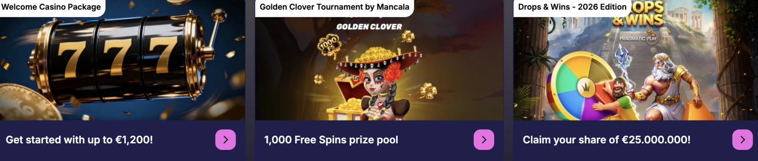 Promotional Banner